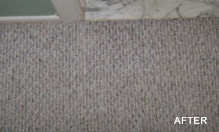 carpet repair fater