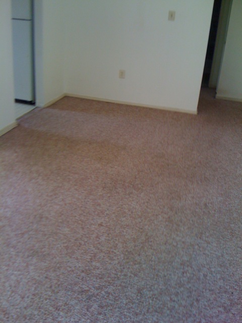 Best Carpet Cleaning Fairfax Va | After Picture of Carpet Cleaning in Fairfax VA