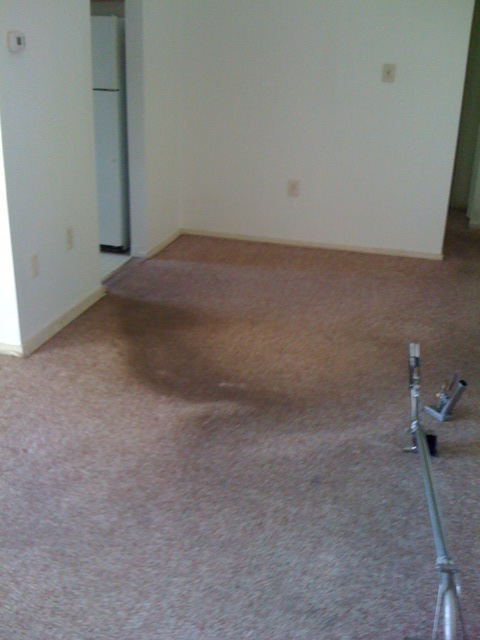 Carpet Cleaning After Picture Fairfax Va & Fredericksburg